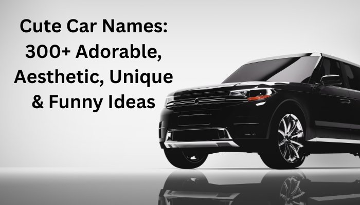 Cute Car Names: 300+ Adorable, Aesthetic, Unique & Funny Ideas