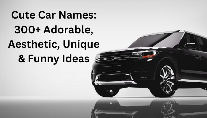 Cute Car Names: 300+ Adorable, Aesthetic, Unique & Funny Ideas