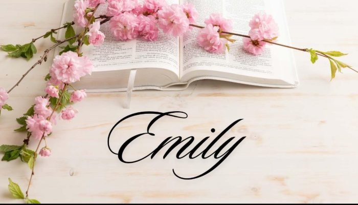 Emily meaning
